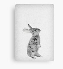 Rabbit 11 Leinwanddruck