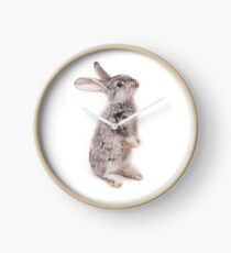 Rabbit 12 Uhr