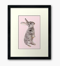Rabbit 12 Gerahmtes Wandbild