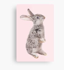Rabbit 12 Metalldruck
