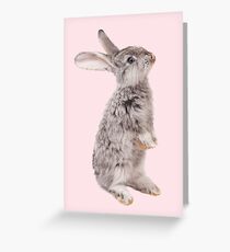 Rabbit 12 Grußkarte