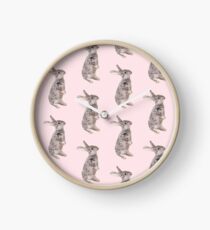 Rabbit 12 Uhr