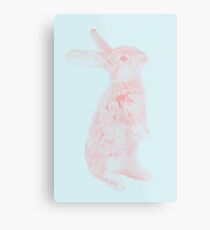 Rabbit 07 Metalldruck