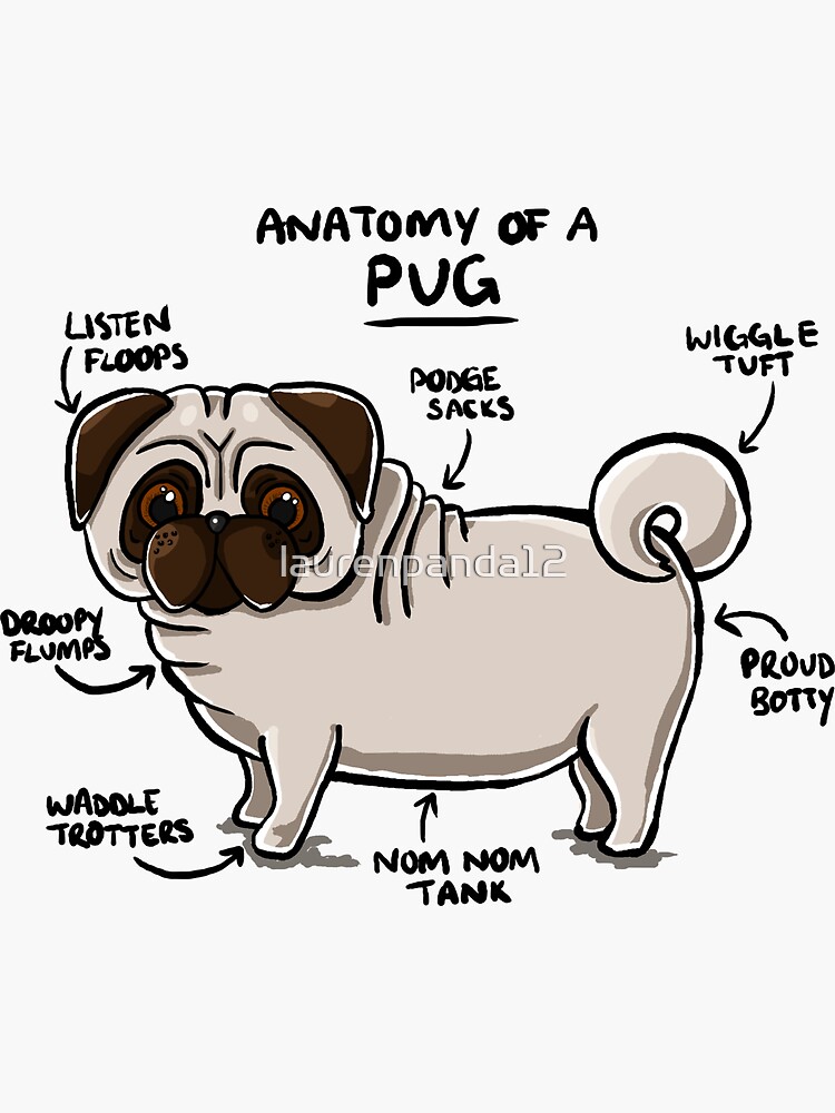 "Anatomy of a Pug" Sticker by laurenpanda12 Redbubble