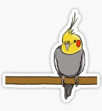 Cute cockatiel for bird lovers Sticker