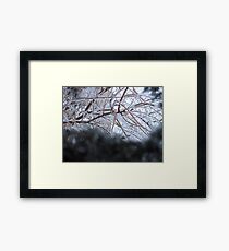 Winter Framed Print