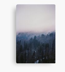 Home again Canvas Print