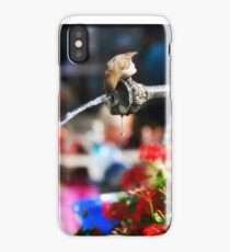 Fountain Fun iPhone Case