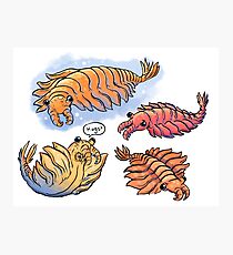 Anomalocaris Pals Photographic Print