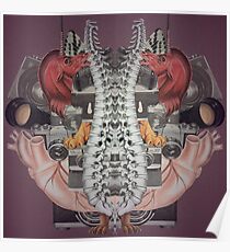 Mirrored Poster