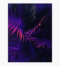 aestetic dope Photographic Print