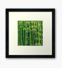 Green Bamboo Tree Framed Print