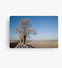 Frosty Morning #4 Canvas Print