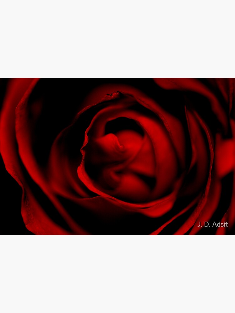 Entering the Rose by adsitprojectpro