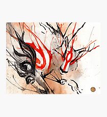 Amaterasu Okami Photographic Print