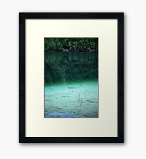 Lake Framed Print