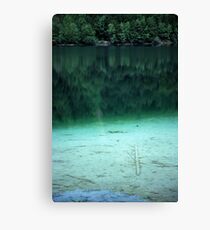 Lake Canvas Print