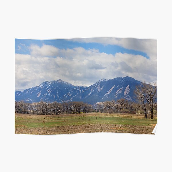 Boulder Colorado Prairie Dog View Poster