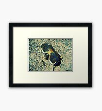 Goggles Framed Print