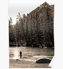 fly fishing Poster