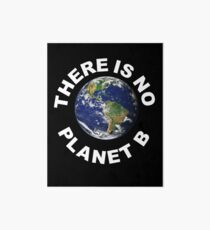There Is No Planet B - Save Earth - Art Board
