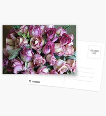Old Pink Postcards