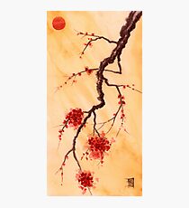 Red Sun and Plum Blossoms Photographic Print