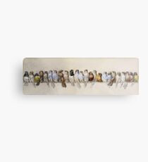 Hector Giacomelli - A Perch Of Birds Metal Print