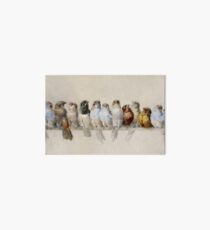 Hector Giacomelli - A Perch Of Birds Art Board Print