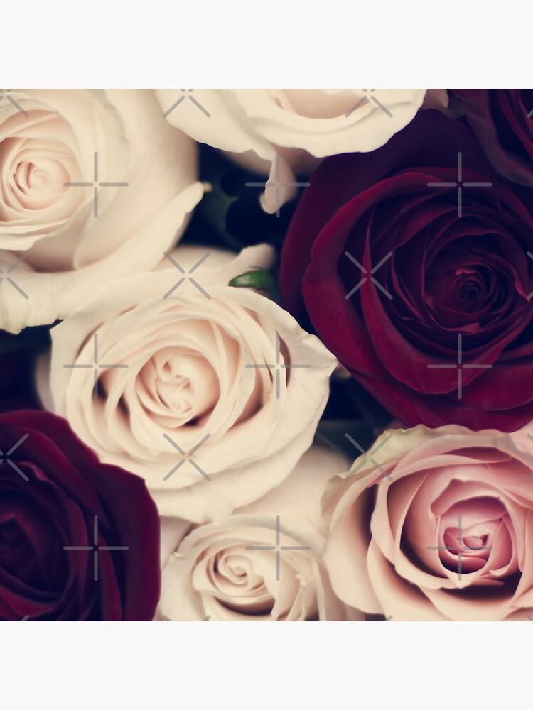 rose bouquet by Ingz
