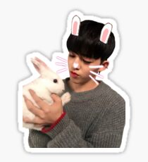 SEVENTEEN S.COUPS Sticker