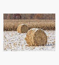 Snowy Cornstalk Bales Photographic Print