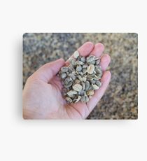 coffee Canvas Print