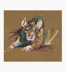 Rat Photographic Print