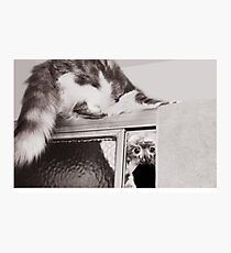 Moments With Max... Photographic Print