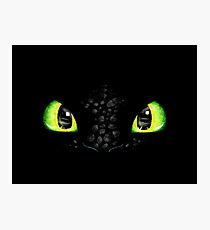 Toothless Photographic Print