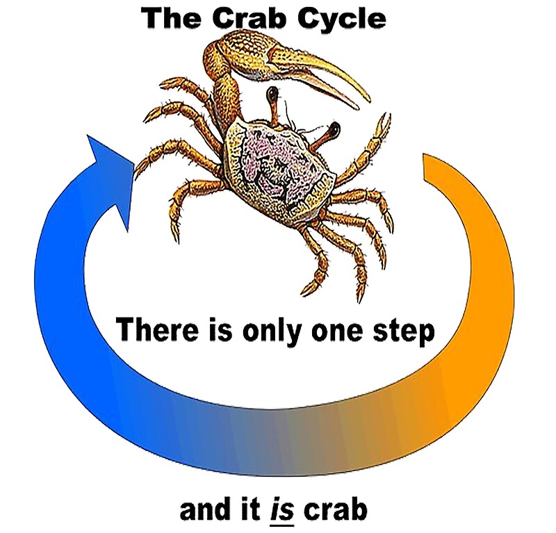 Crab Life Cycle Venn Diagram Primarylearning Org - vrogue.co