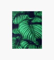 Green Leaf Art Board