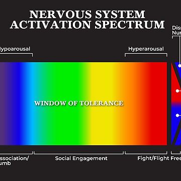 Artwork thumbnail, Nervous System Activation Spectrum (Black) by lightsomatic