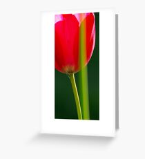 Elegance Greeting Card