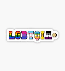 LGBTQIA+ Pride Sticker