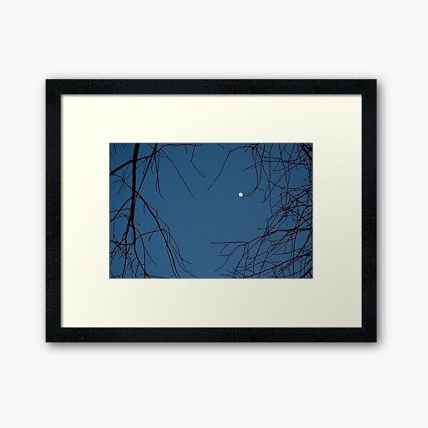 Star Framed Art Print