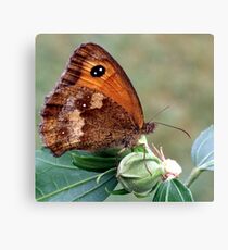 Gatekeeper Canvas Print