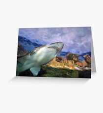 Teeth... Lots of Teeth!!! Greeting Card