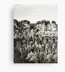 Saxony Canvas Print