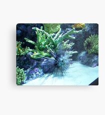 Something Fishy Metal Print