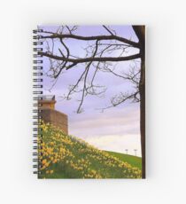 Fahan Street Daffodils.........................Derry Spiral Notebook