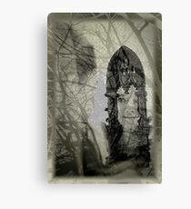 mirror mirror Canvas Print