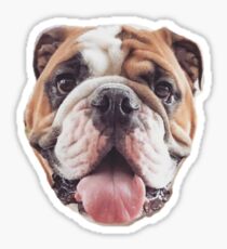 Bulldog Sticker