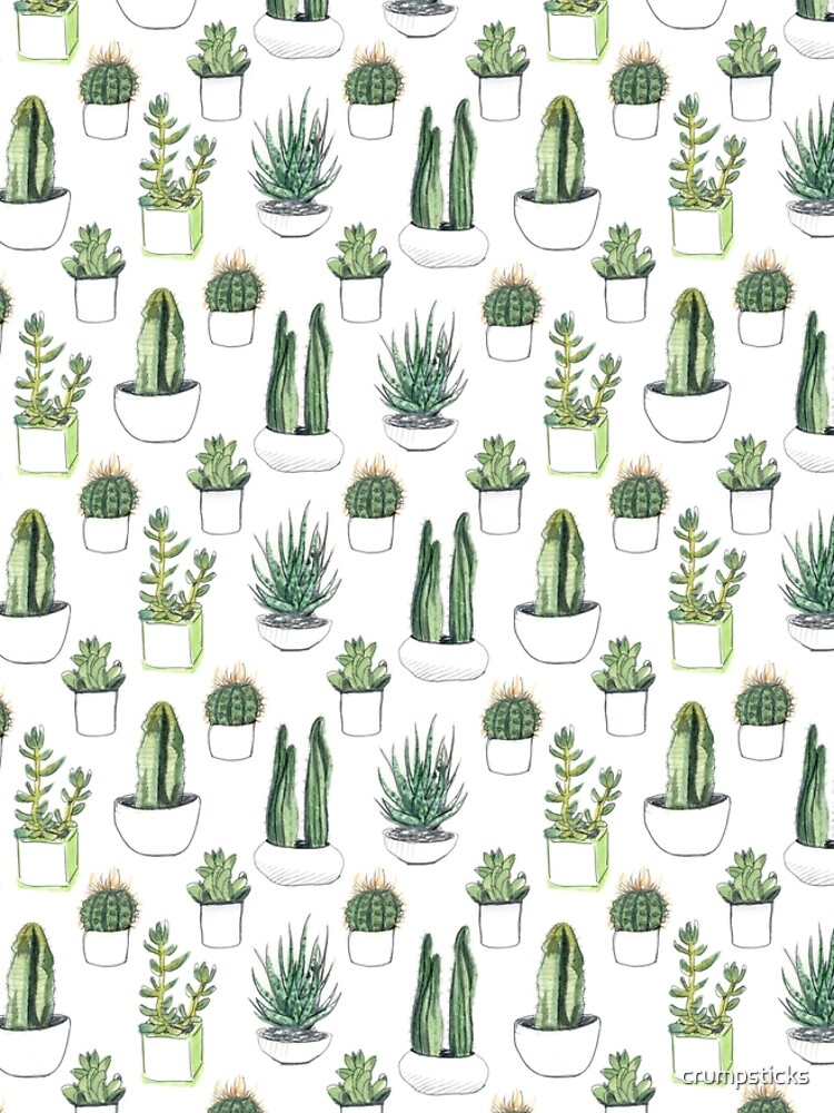 Watercolour cacti & succulents by crumpsticks